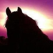 Diane Harless's photo