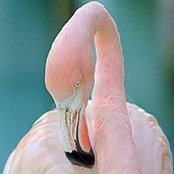 Jo Ann Alston's photo
