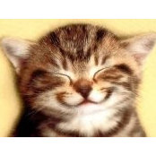 Cat Herines billede