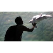 Johnny Lin's photo