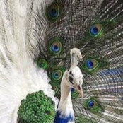 Karla Rodriguez's photo