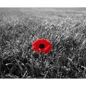 Jessica Regnaleb's photo