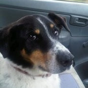 Anthony Mckechnie's photo