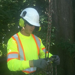 MrTree Care