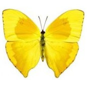 Ginny Sweeney's photo