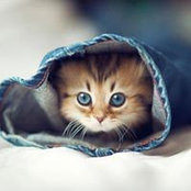 Abhi Abhi's photo