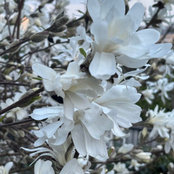Elissa P's photo