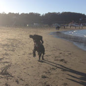 Ripley Jones's photo