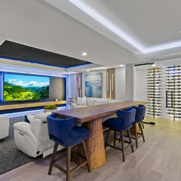2025 NARI Remodeler of the Year - Basement Over $250,000