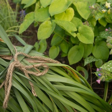 Estate Garden, East Barnard, Vermont