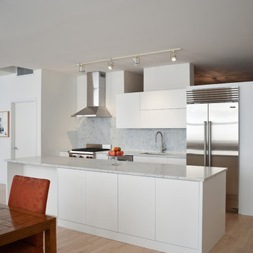 Chicago Contemporary Kitchen