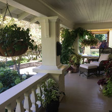 Hanging Plants Etc