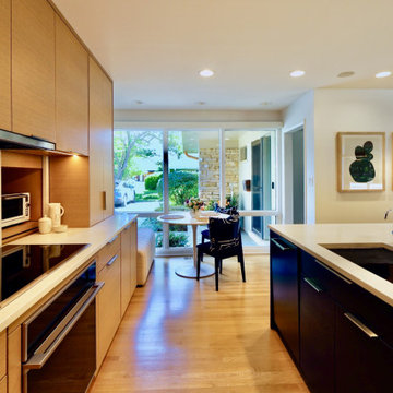 Highland Park Mid Century Modern