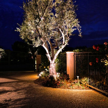 Landscape Lighting - Always adjustable!