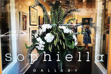 Sophiella Gallery