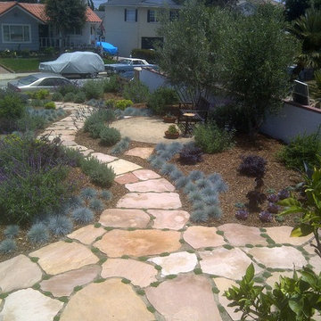 Drought tolerant / natural landscape
