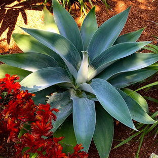 Eklektischer Garten in Sonstige