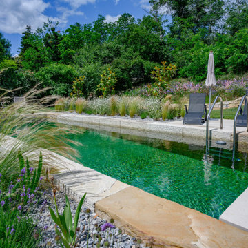 Naturpool mit klarer Wasserzone und Pflanzung