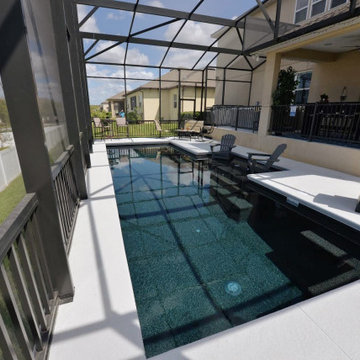 Custom Swimming Pool in Ocoee, Florida