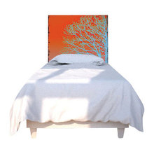 Headboard Ideas for Vivian