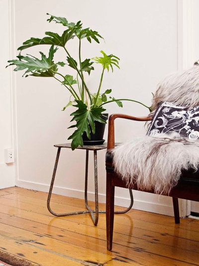 Eclectic  by Studio Home