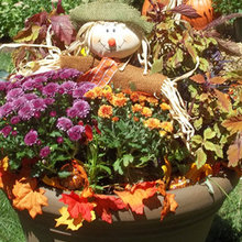 Halloween Exterior Ideas