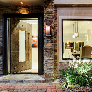 Contemporary Doors