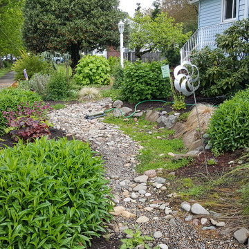 BEFORE & AFTER: Craftsman Cottage Rain Garden REPLACES LAWN