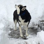 Anthony Kasey's photo