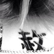Jen Ransbergerさんの写真