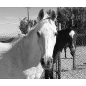 Robison Ranch's photo
