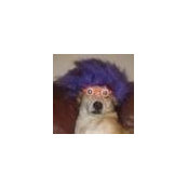 Foto de rewcath