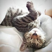 Bert Herrera's photo