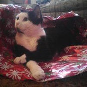 Paula Adams Parks's photo