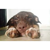 Mika's photo