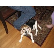 Jean Jocque's photo