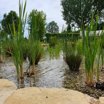 Natural swimming pool