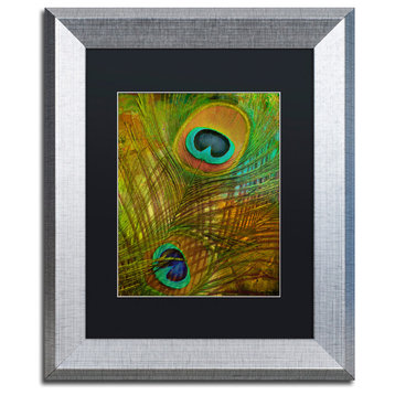 Color Bakery 'Peacock Candy II' Art, Silver Frame, Black Matte, 11"x14"