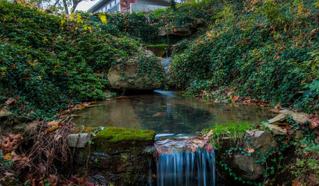 Studio Tour: Creekside Appeal for an Artists' Workspace