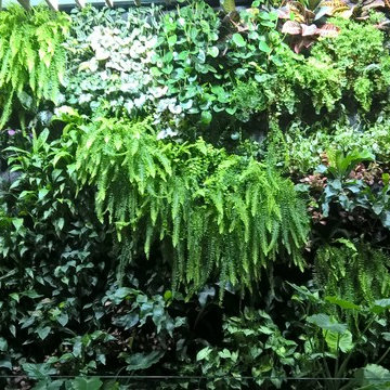 Jardin Vertical. Sevilla
