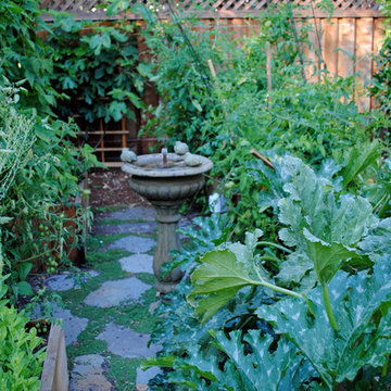 Burlingame Backyard Vegetable Garden