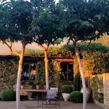 Provence Style