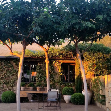 Provence in Ojai