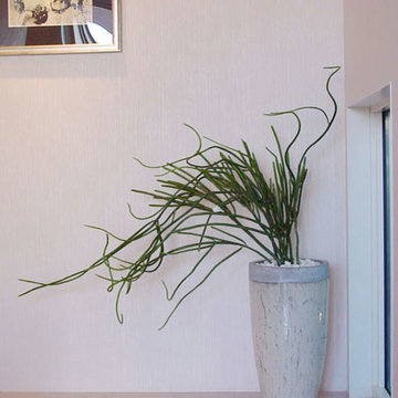 Plants.S
