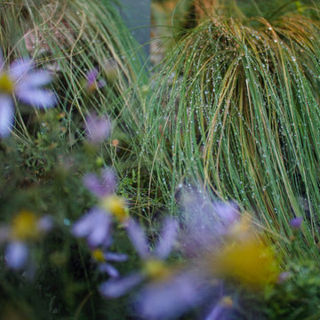 Il giardino rosso