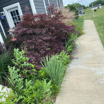 Landscape Design