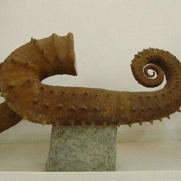 Collector Pieces