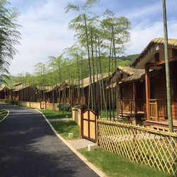 Bamboo Poles - Building Materials
