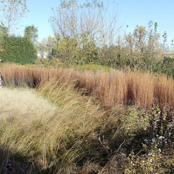 Organized Prairie
