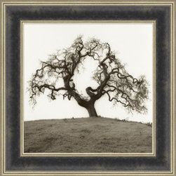 Blaustein Black and white trees - Products